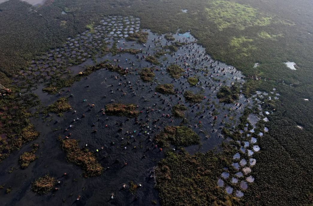 صيد جماعي في قرية صيد هندية بمناسبة نهاية موسم الحصاد (4)