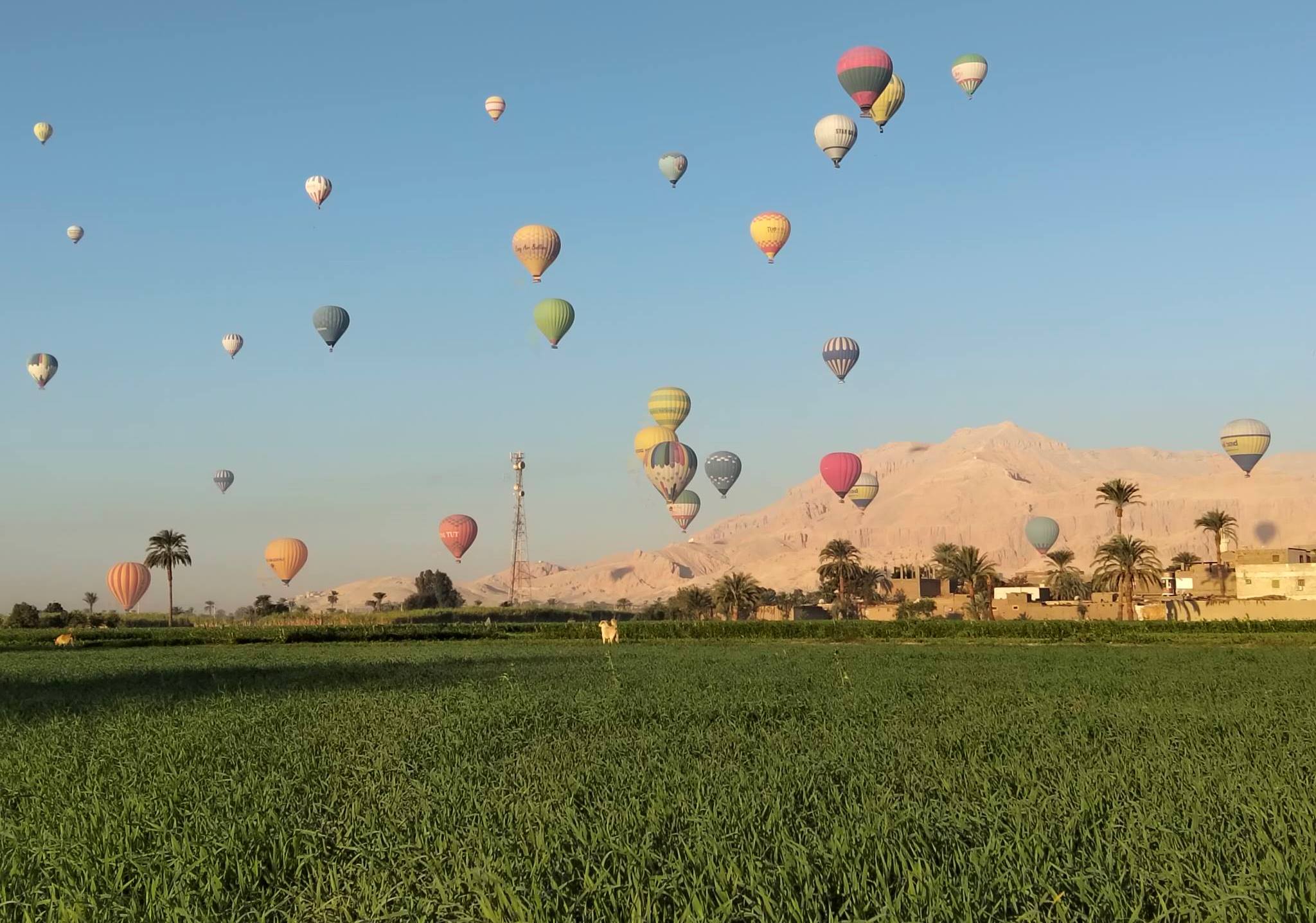 سحر رحلات البالون الطائر بين زراعات البر الغربى