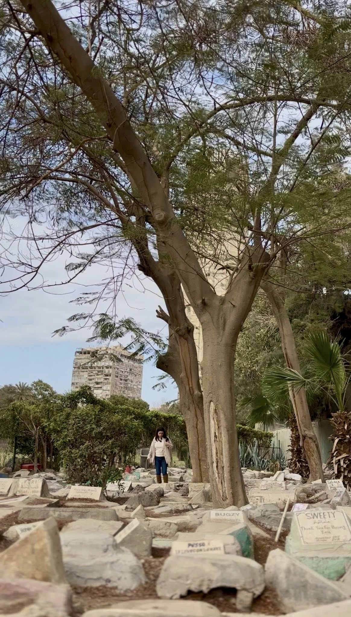 مقابر الحيوانات الأليفة