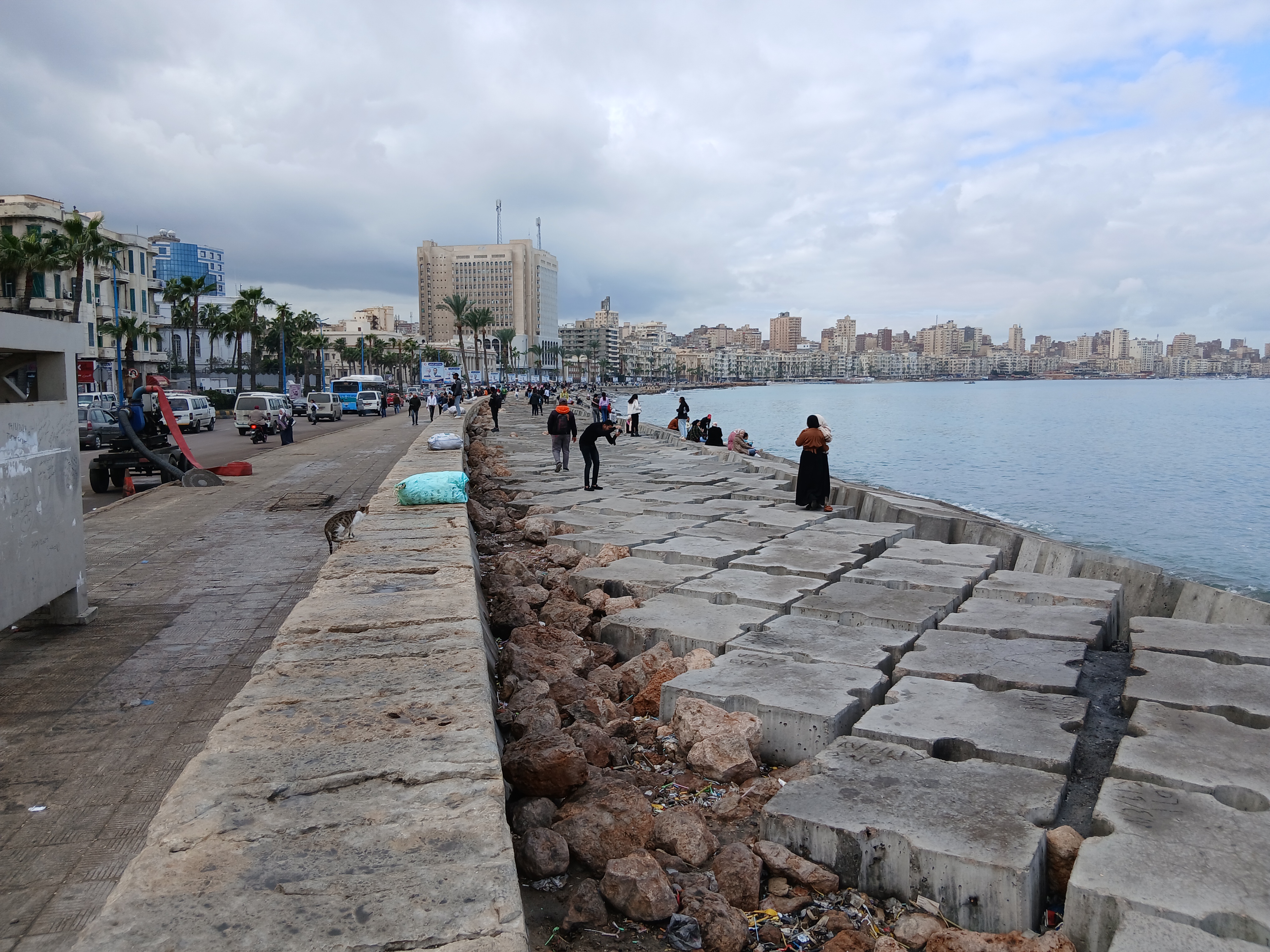 الطقس  في محافظة الإسكندرية