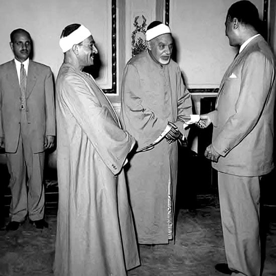 جمال-عبد-الناصر-وطة-الفشني