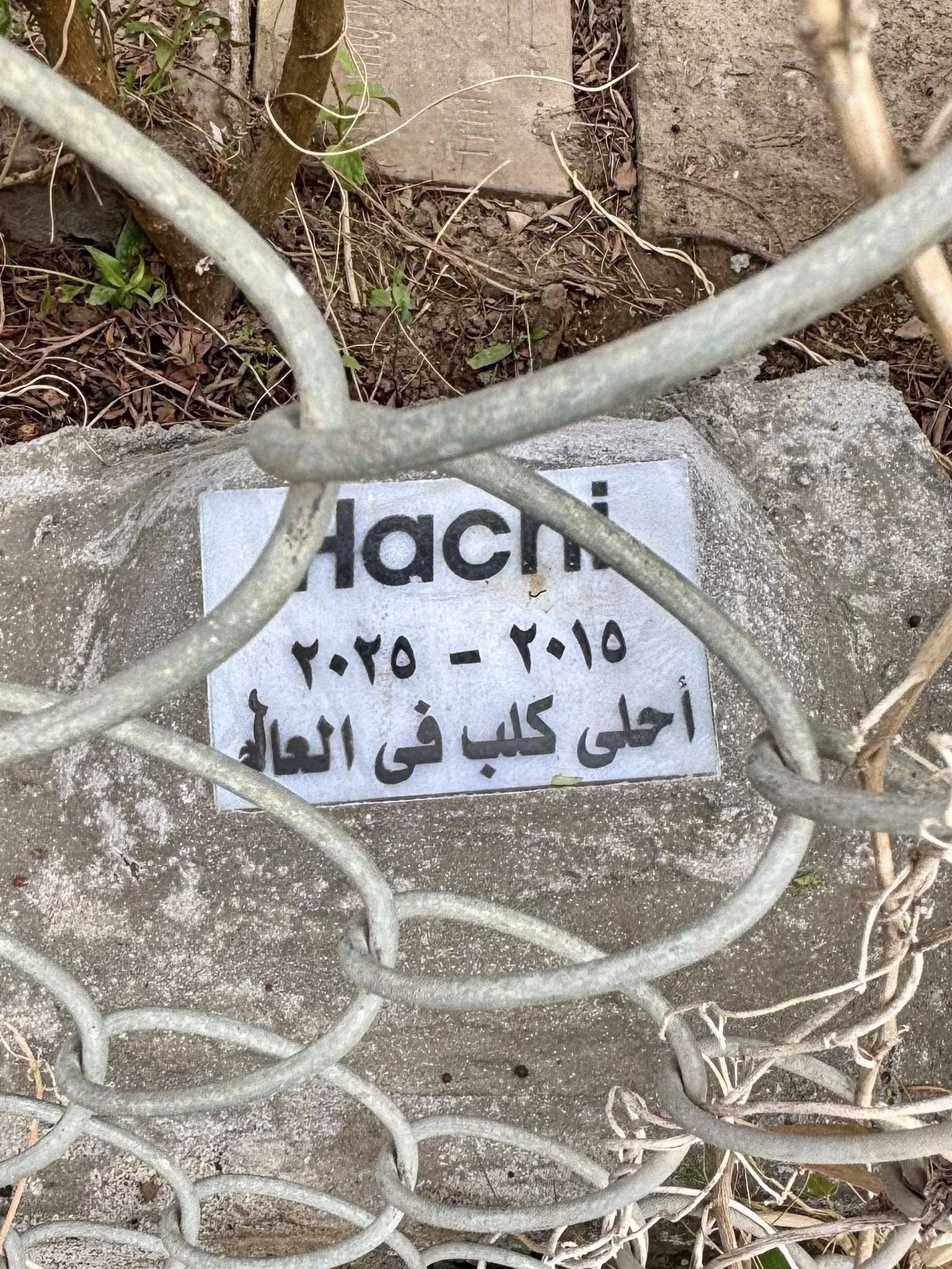 مقبر مكتوب عليها أحلى كلب في العالم