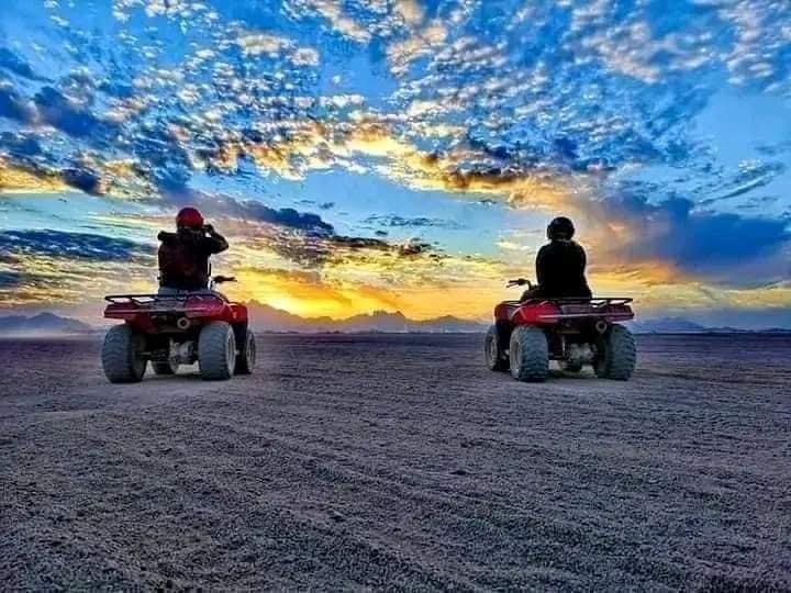 مشاهدة الغروب فى الصحراء 