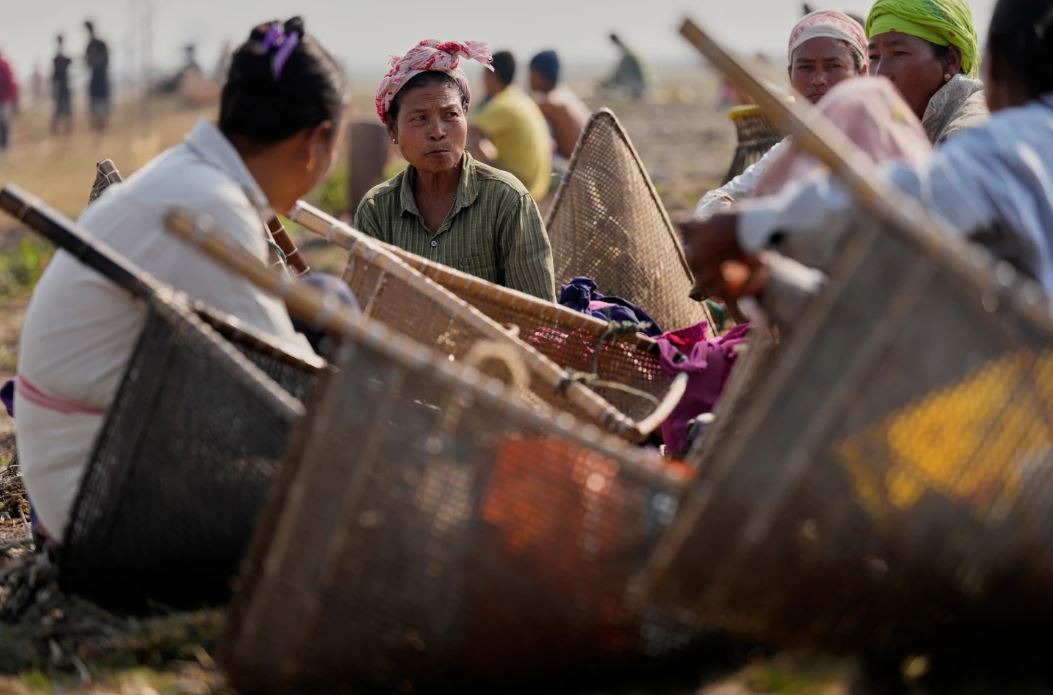 موسم الحصاد (3)