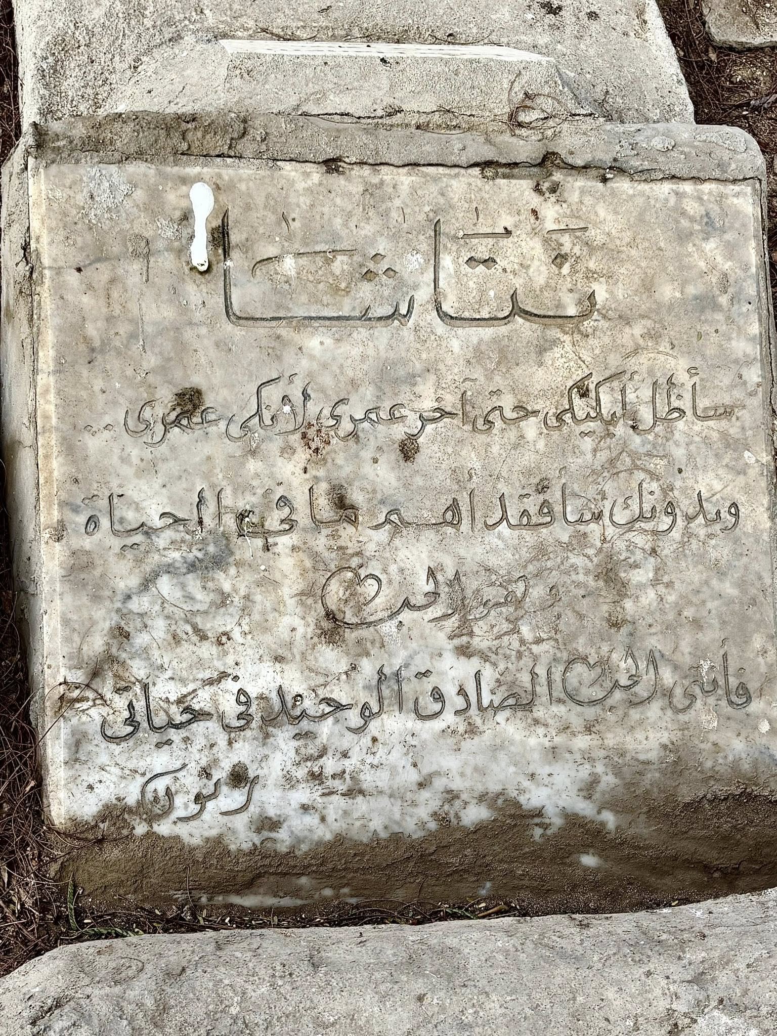 مقبرة للحيوانات