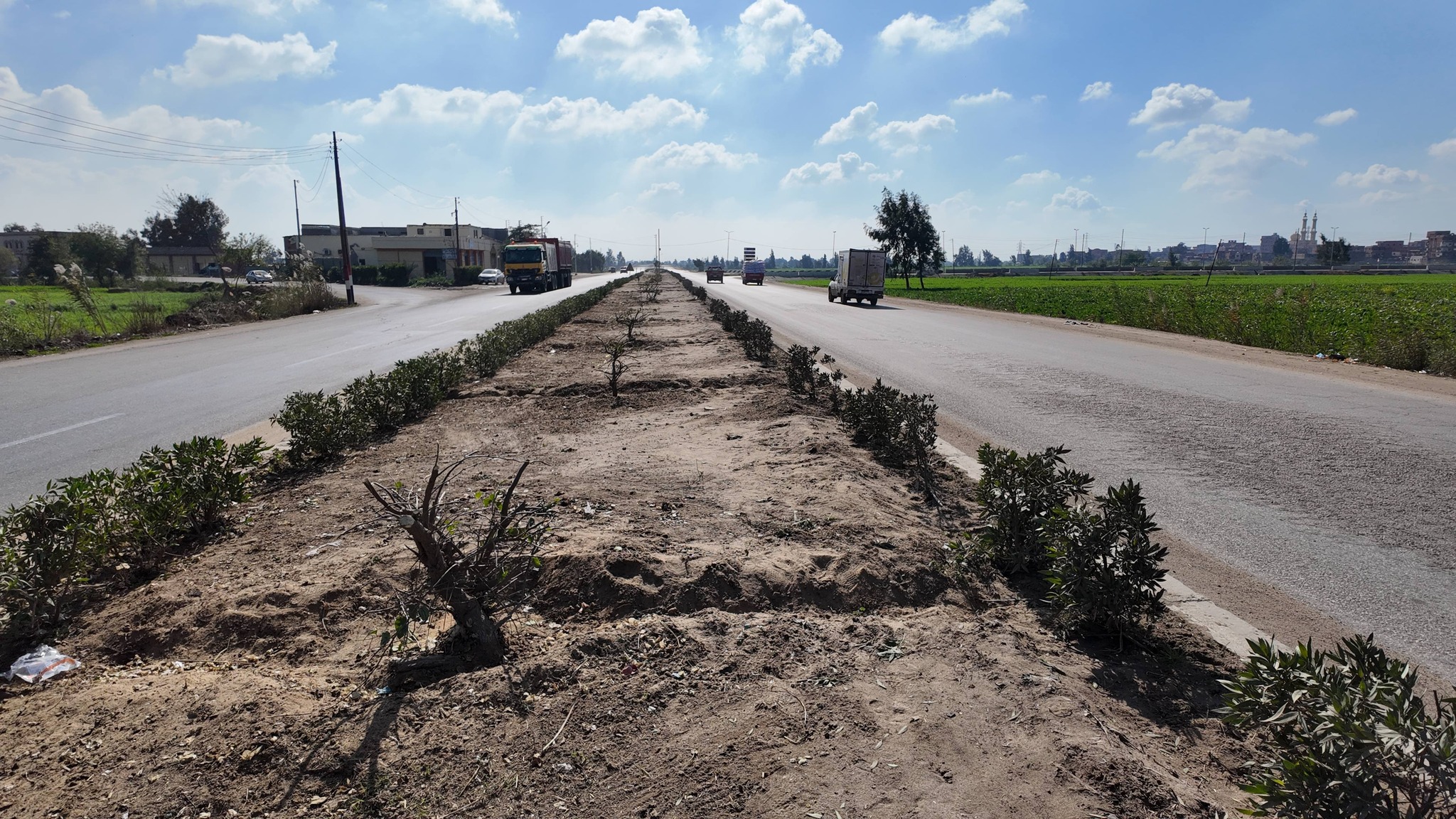 زراعة الاشجار بمدخل 30 يونيو