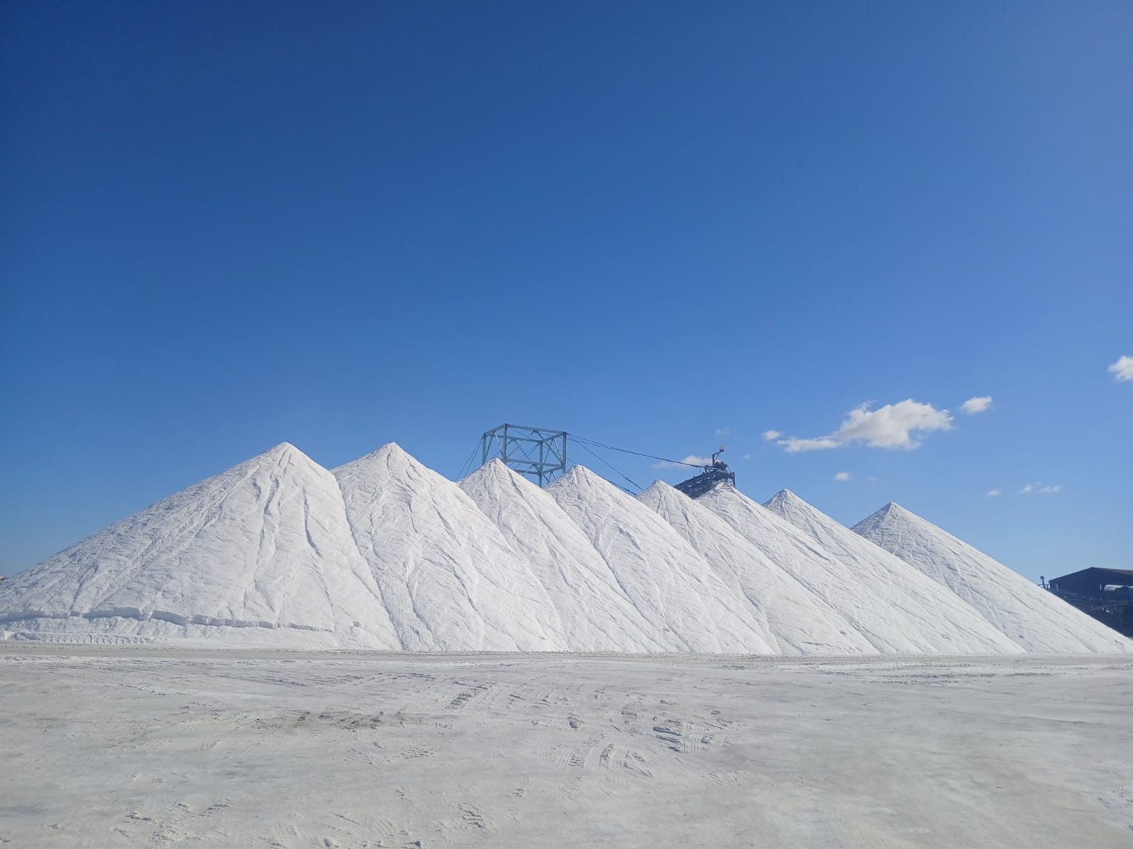 c9586165-2847-4d09-b1e0-1d4279a4881d