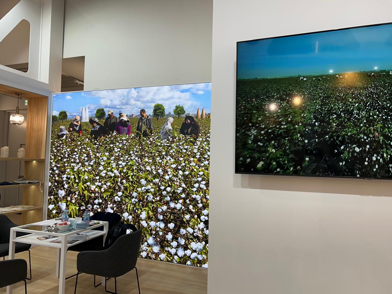 القطن المصري حاضر في هوم تايكسل