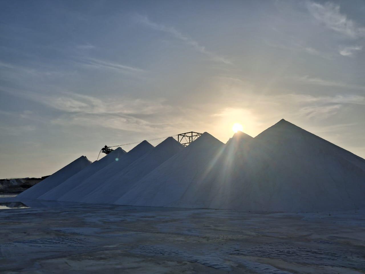 3eb7cebc-a568-4e1e-8faa-7c003df7ba25