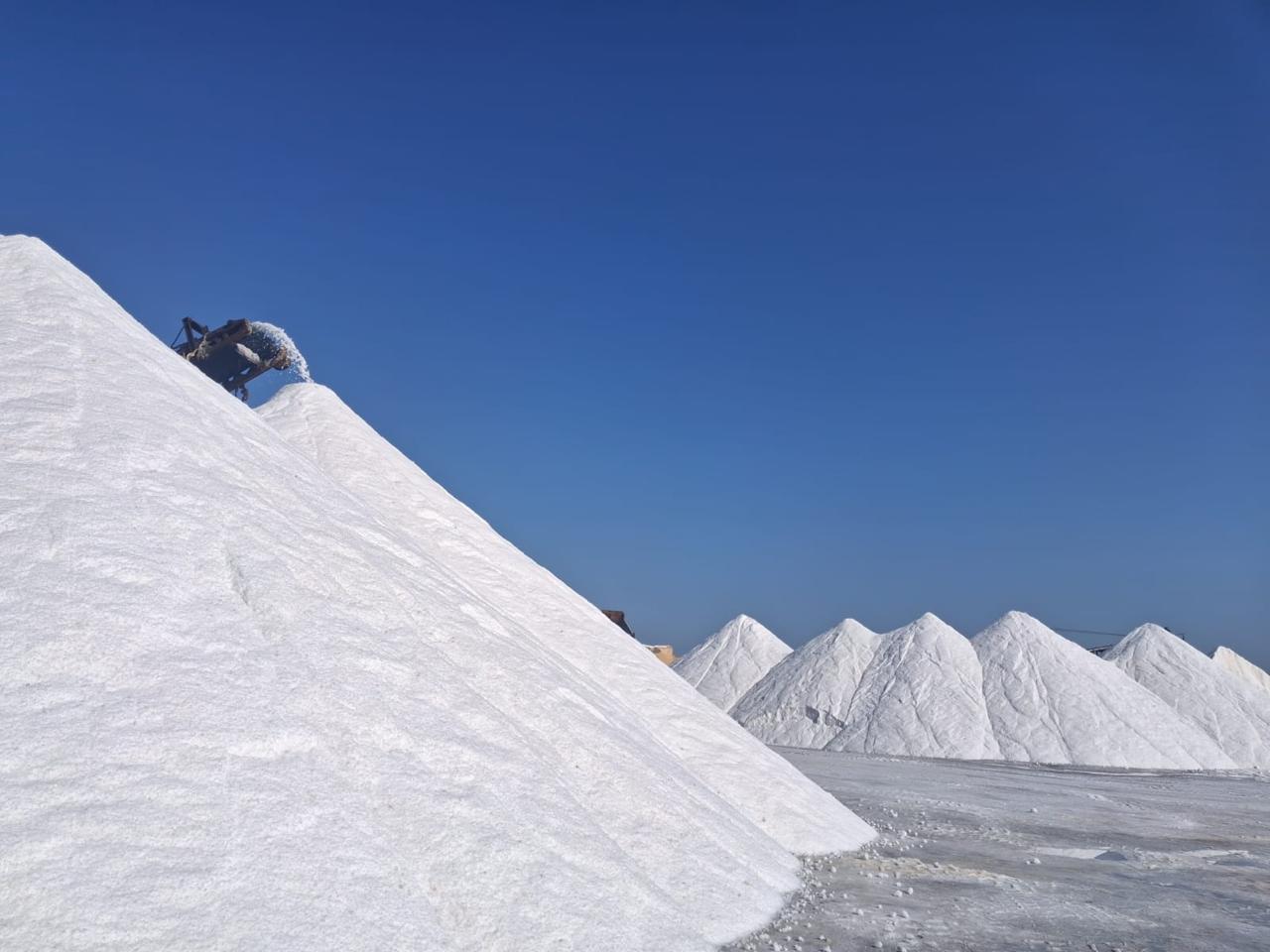 aea08092-0944-4d75-86fb-99c76e71e718