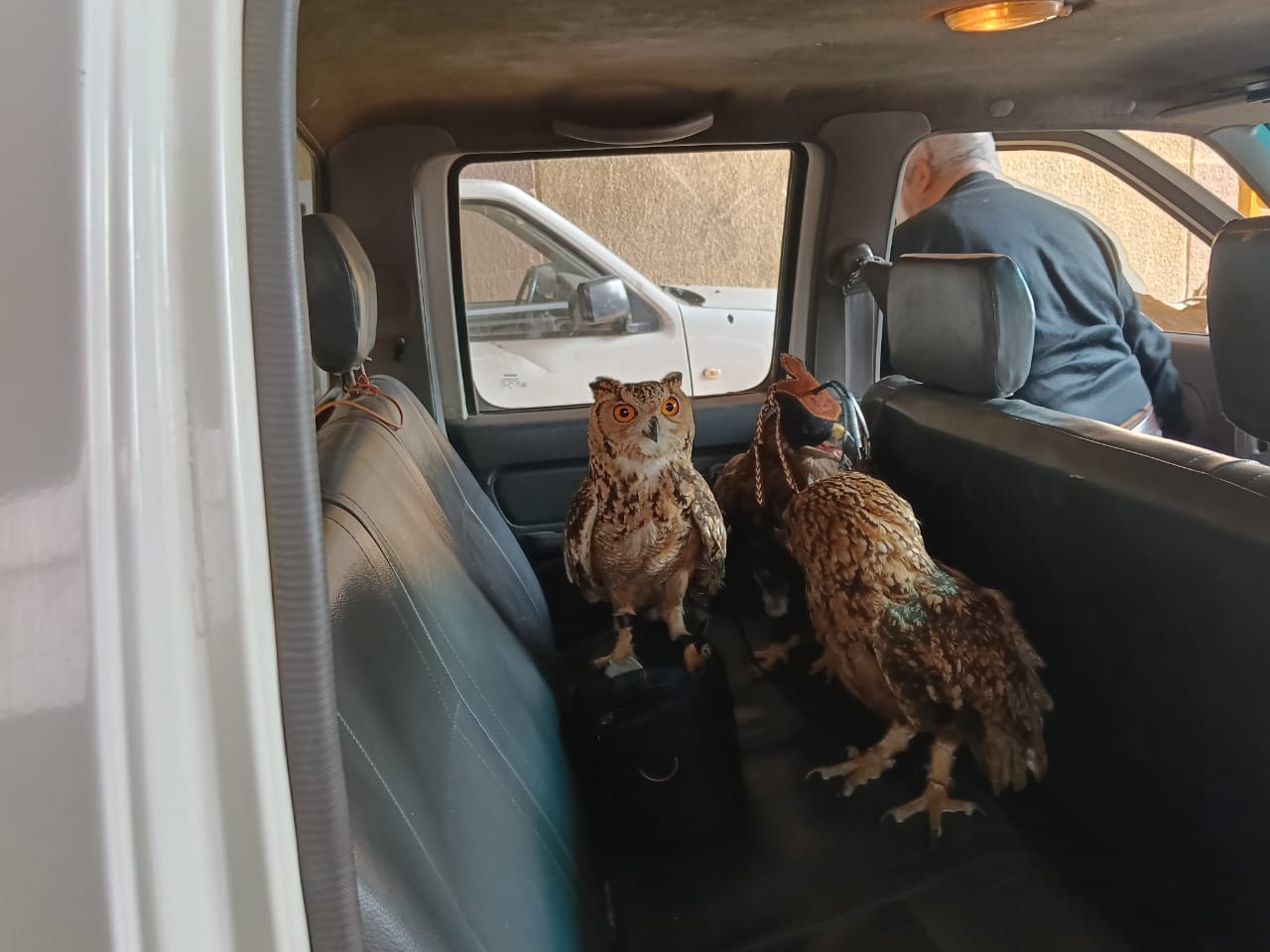 WhatsApp Image 2026-01-17 at 3.05.42 PM