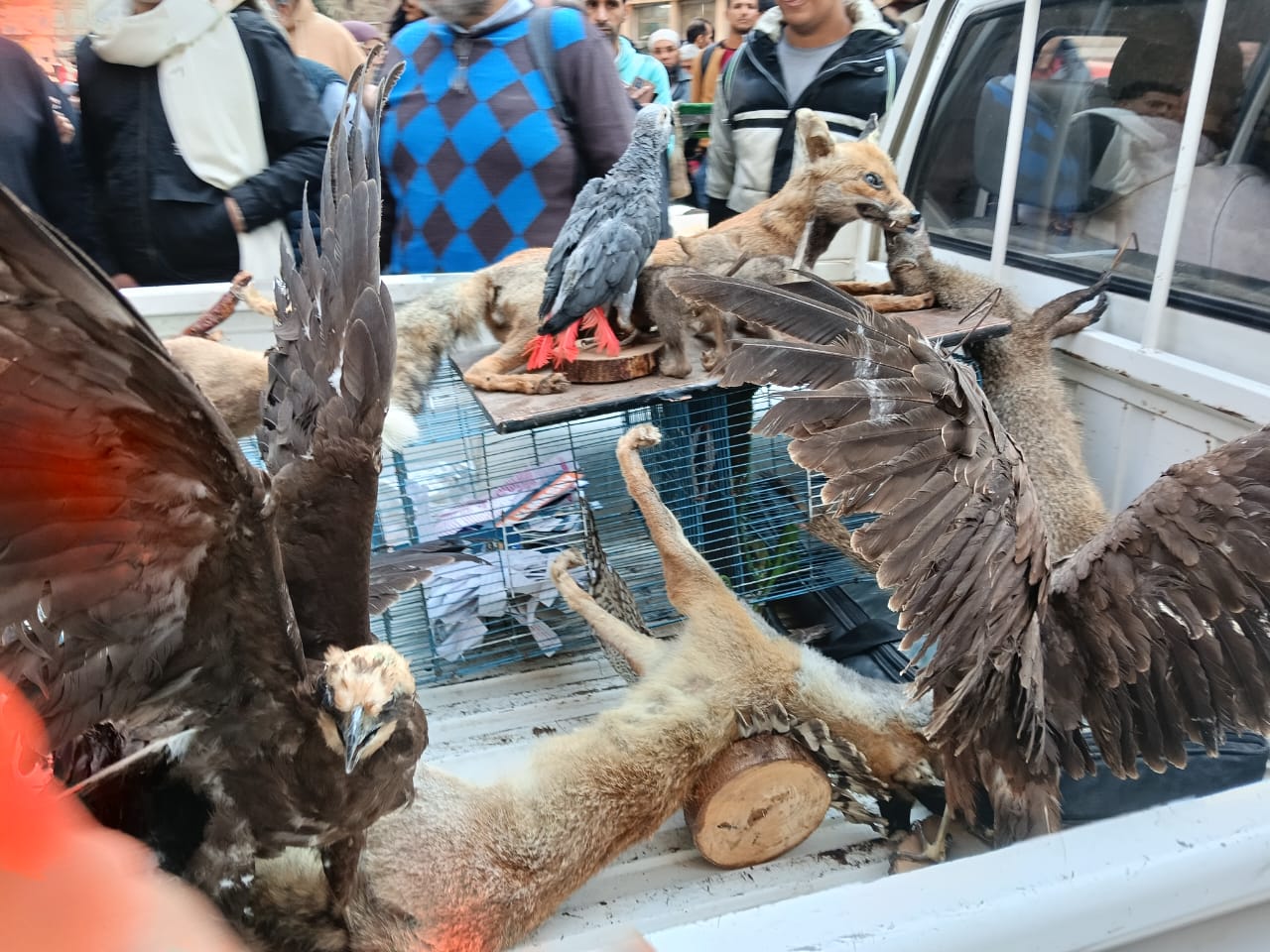 WhatsApp Image 2026-01-17 at 3.05.41 PM