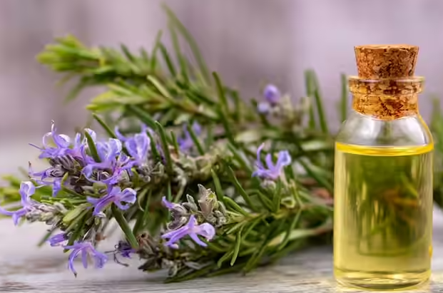 زيت اكليل الجبل زيت اكليل الجبل