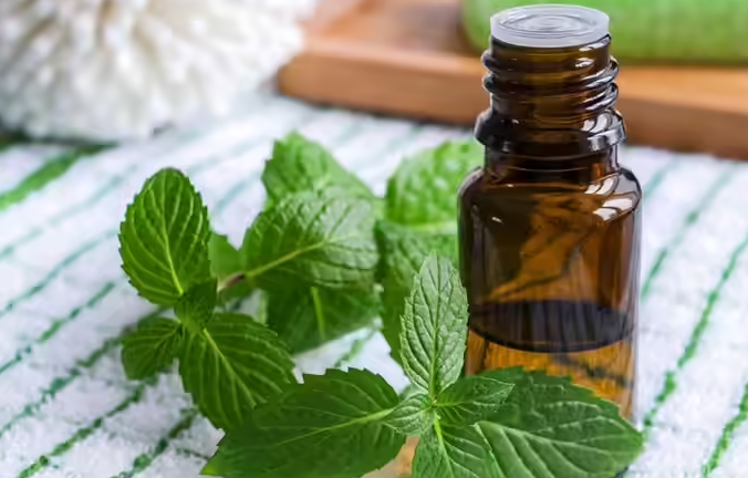 زيت النعناع زيت النعناع