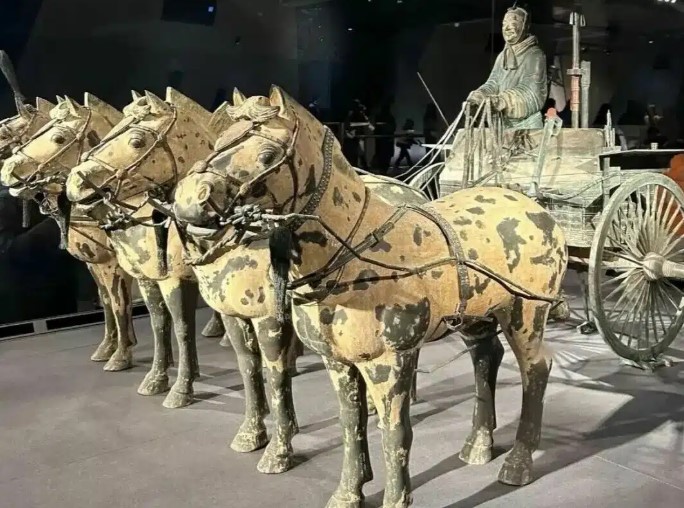 عربتين حربيتين 