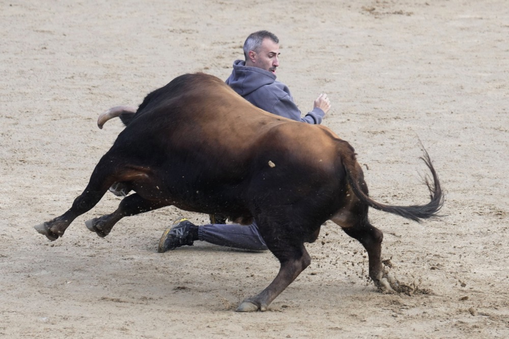 مهرجان سان فيرمين في مدريد (9)