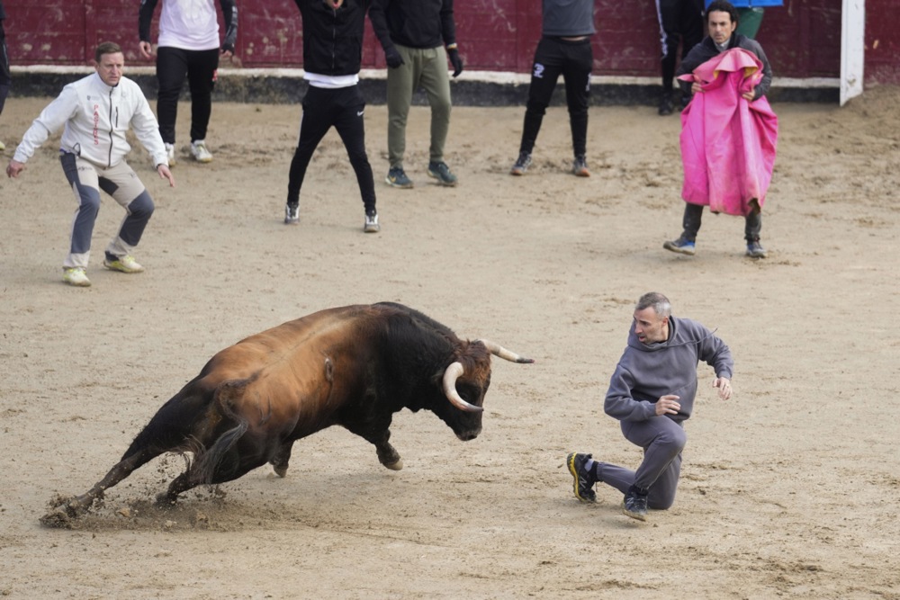 مهرجان سان فيرمين في مدريد (7)