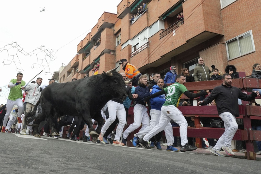 مهرجان سان فيرمين في مدريد (3)