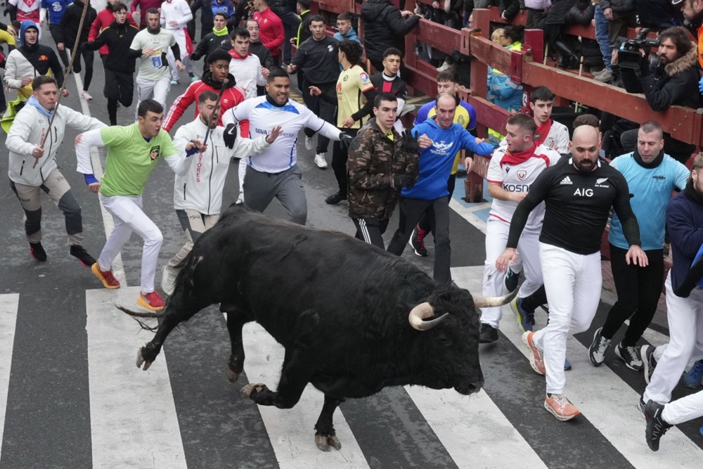مهرجان سان فيرمين في مدريد (1)