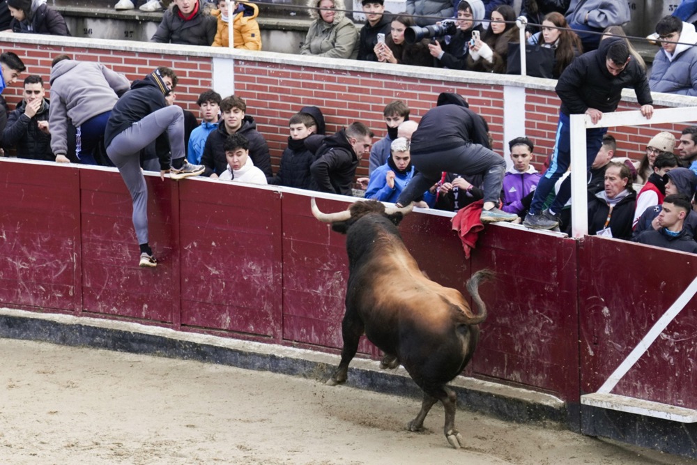 مهرجان سان فيرمين في مدريد (10)