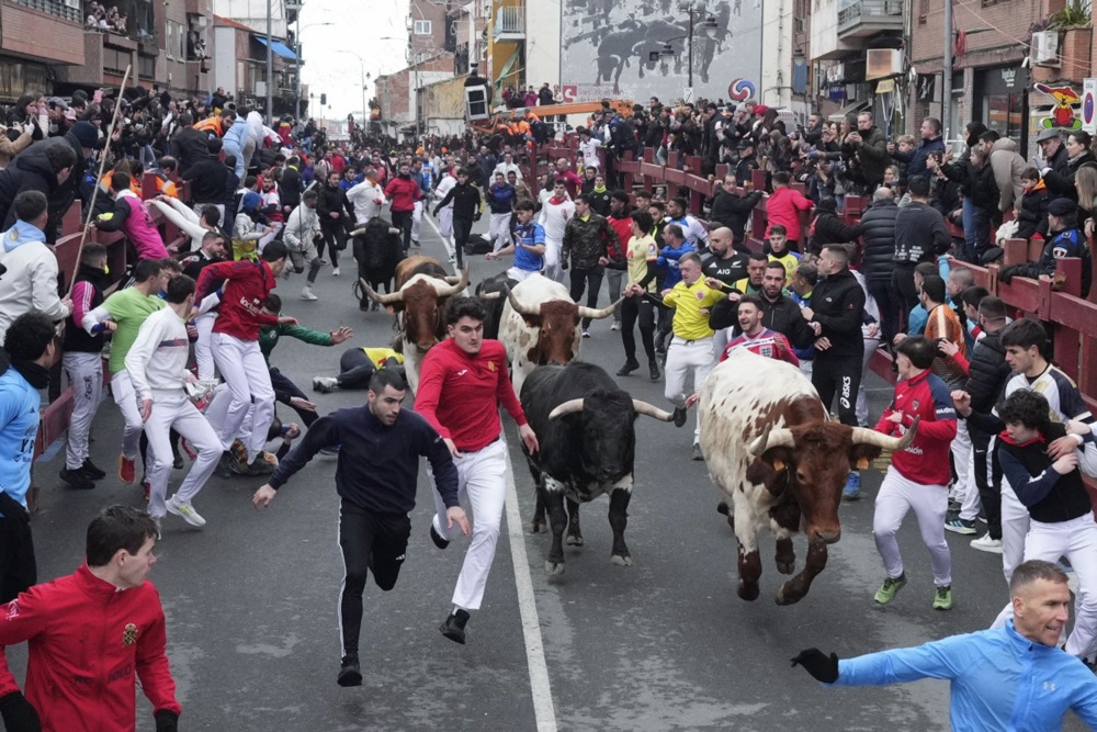 مهرجان سان فيرمين في مدريد (2)