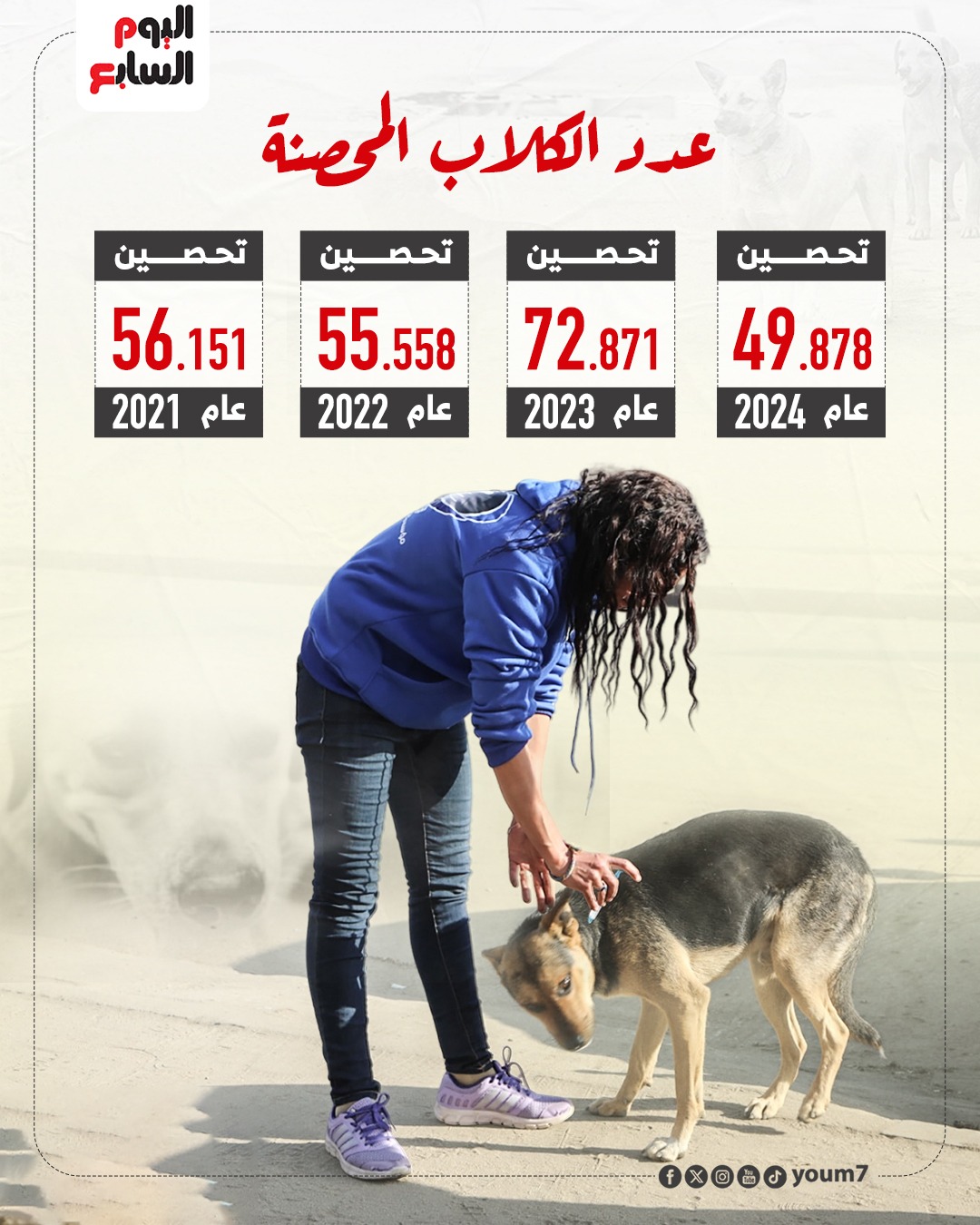 الكلاب الضالة (3)