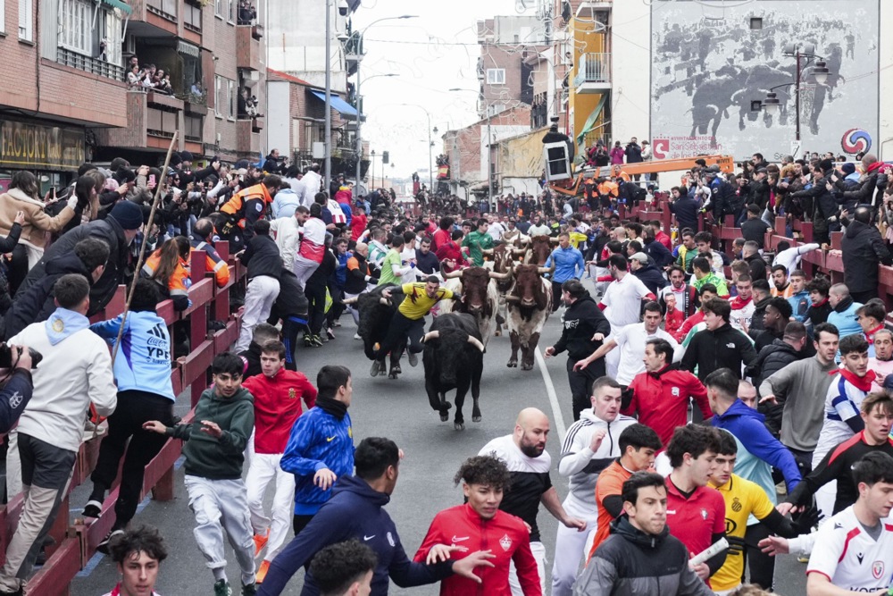 مهرجان سان فيرمين في مدريد (5)