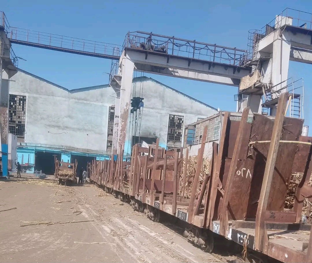 الديكفويل داخل المصنع