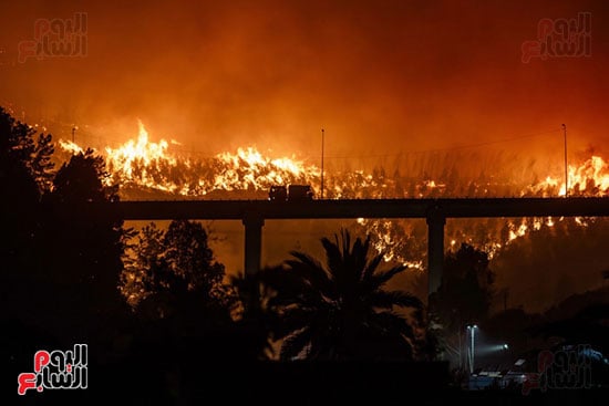 حرائق الغابات فى تشيلى