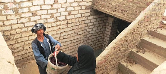 تسليم-الكركدية-للسيدات-لبدء-فرشه-فى-الهواء-الطلق