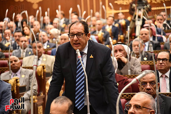 النائب حسام الخولى