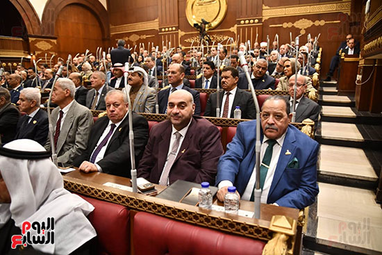 جانب من الجلسة العامة