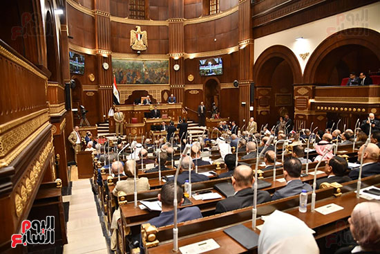 الجلسة العامة