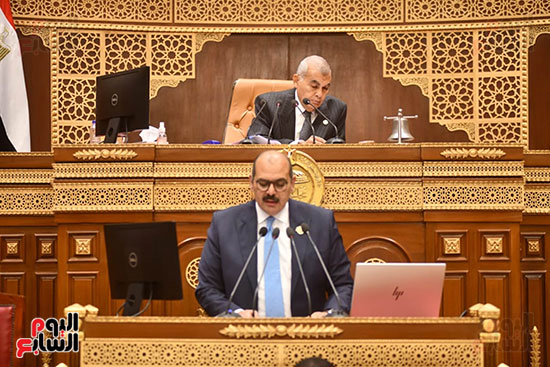 النائب محمود صلاح