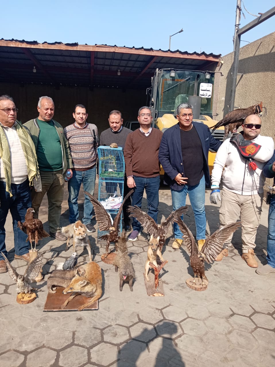 قطاع المحميات الطبيعية يبحث إمكانية إنشاء معرض بيئى لمقتنيات المضبوطات من الحيونات والطيور المحنطة