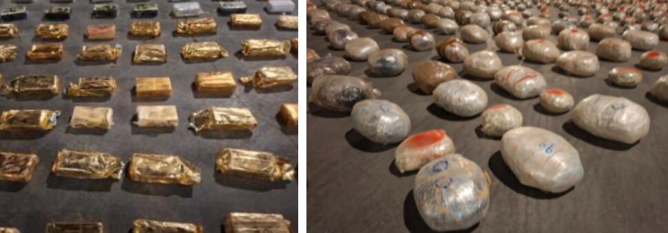 WhatsApp Image 2026-01-19 at 11.09.17 AM