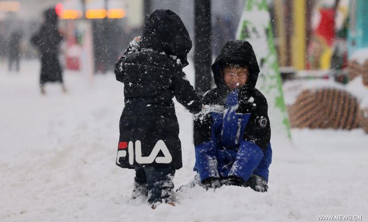 تساقط الثلوج (1)