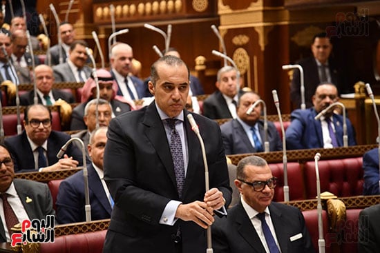 المستشار محمود فوزي (2)