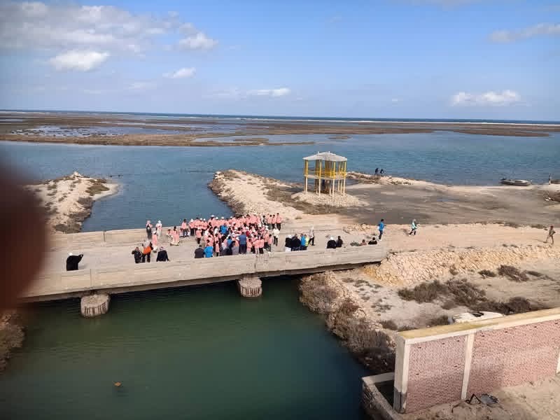 أثناء الزيارة 