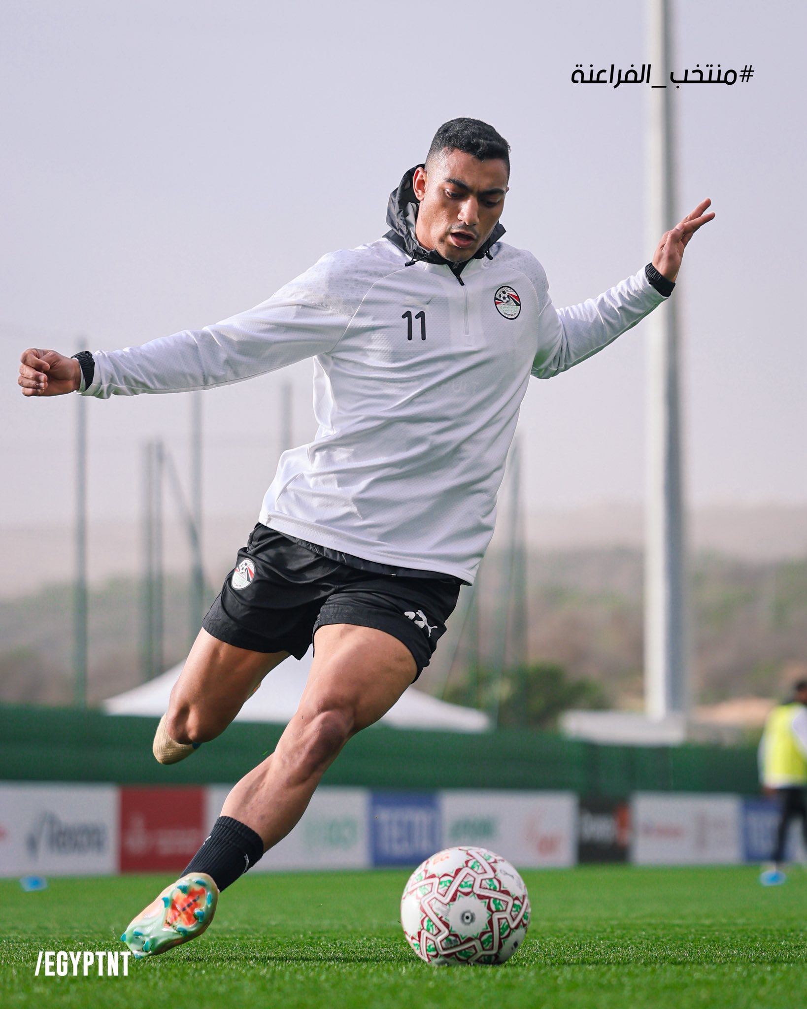 مصطفى محمد مصطفى محمد