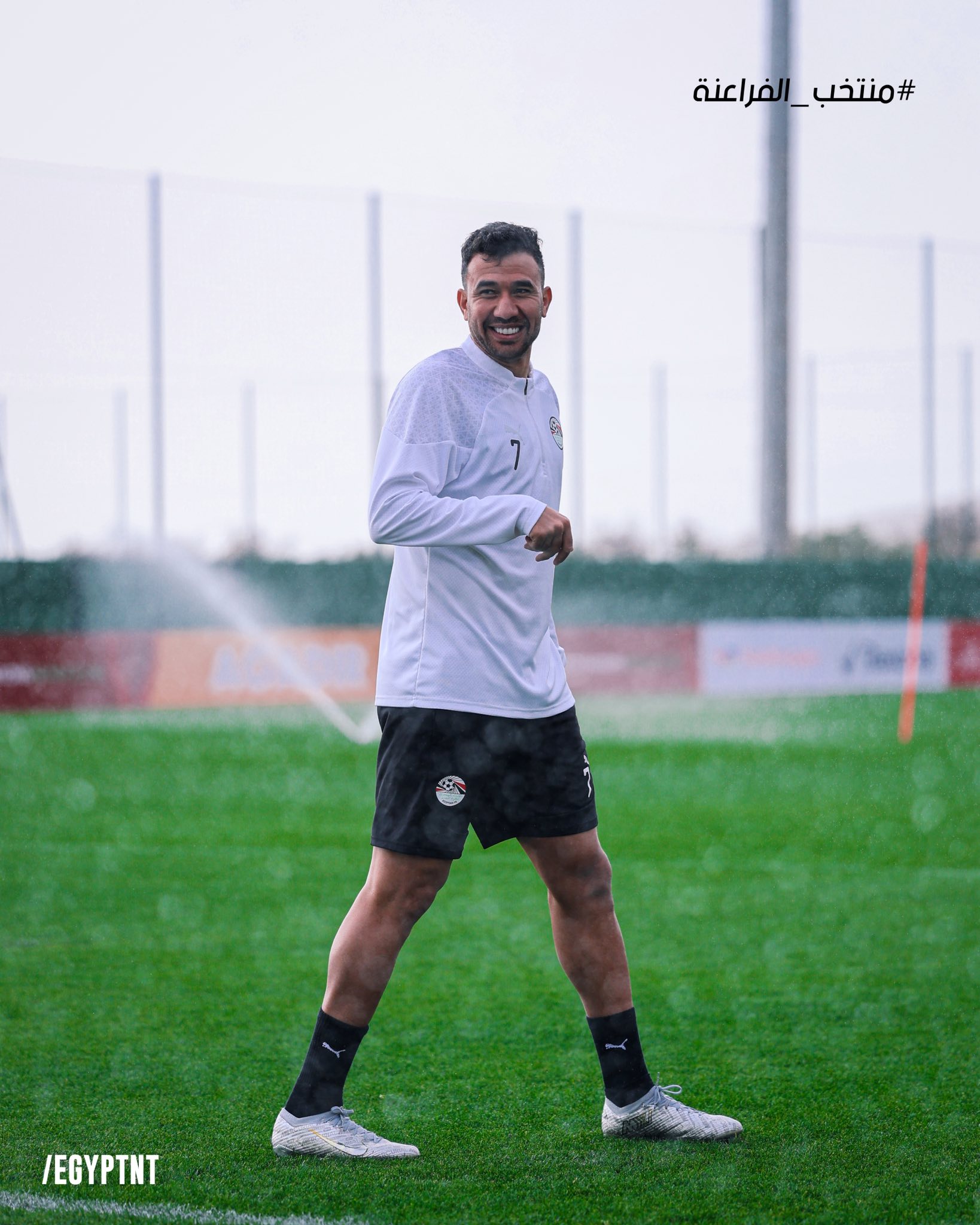 تريزيجيه تريزيجيه