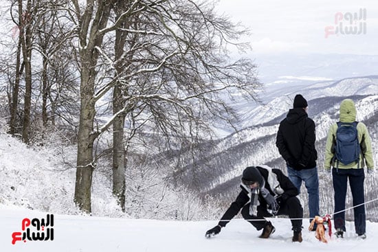 تساقط الجليد فى المجر يرسم لحة من الطبيعة