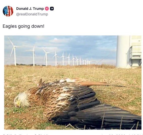 ترامب يهاجم طاقة الرياح على تروث سوشيال