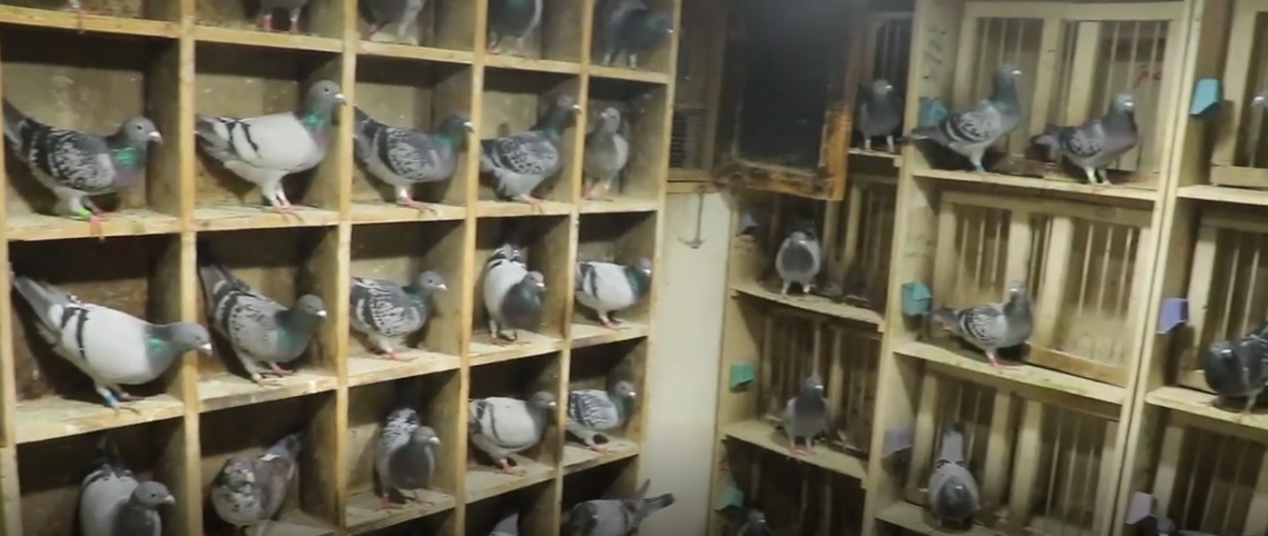 تخصيص أماكن مناسبة للحمام