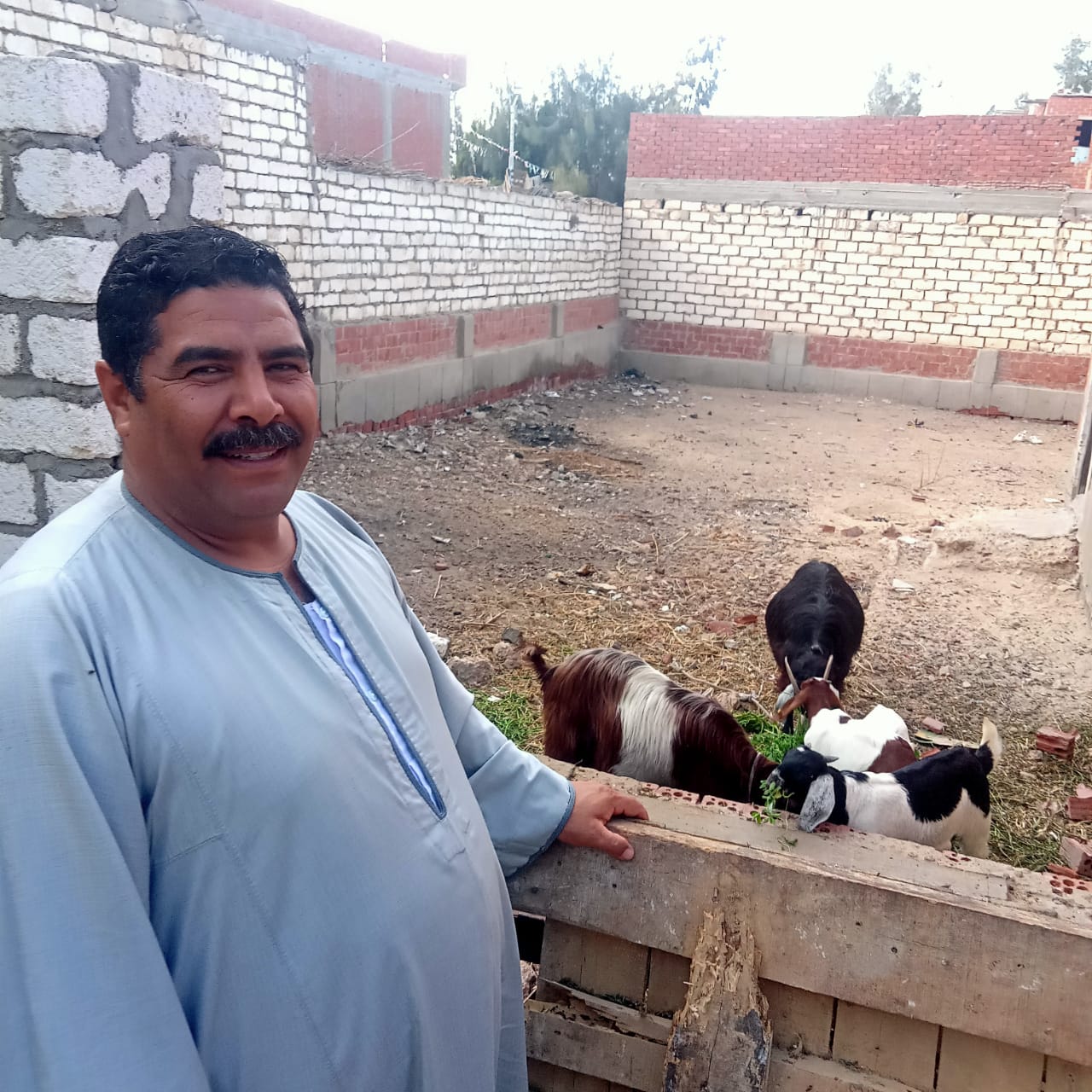 نقيب الفلاحين خلال متابعة مشروع تحسين سلالات الماعز البرقي المصري