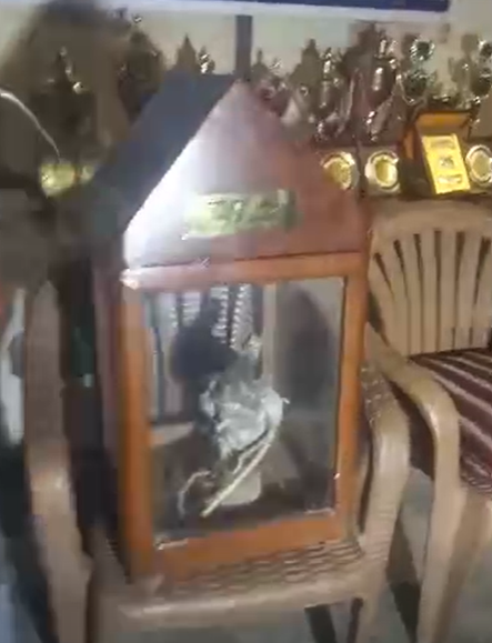 الحمامة المحنطة