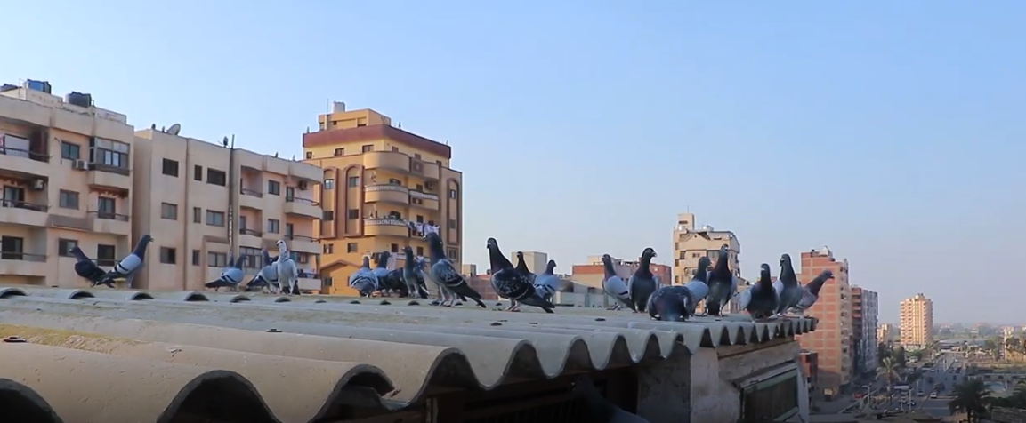 الحرص على توفير بيئة صحية للحمام