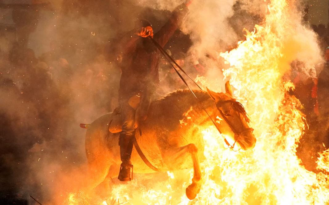 خيول طهرتها النار   يمتطي المحتفلون خيولهم عبر الدخان واللهب لتطهير حيواناتهم خلال احتفال لومينارياس في قرية سان بارتولومي دي بيناريس الإسبانية (1)