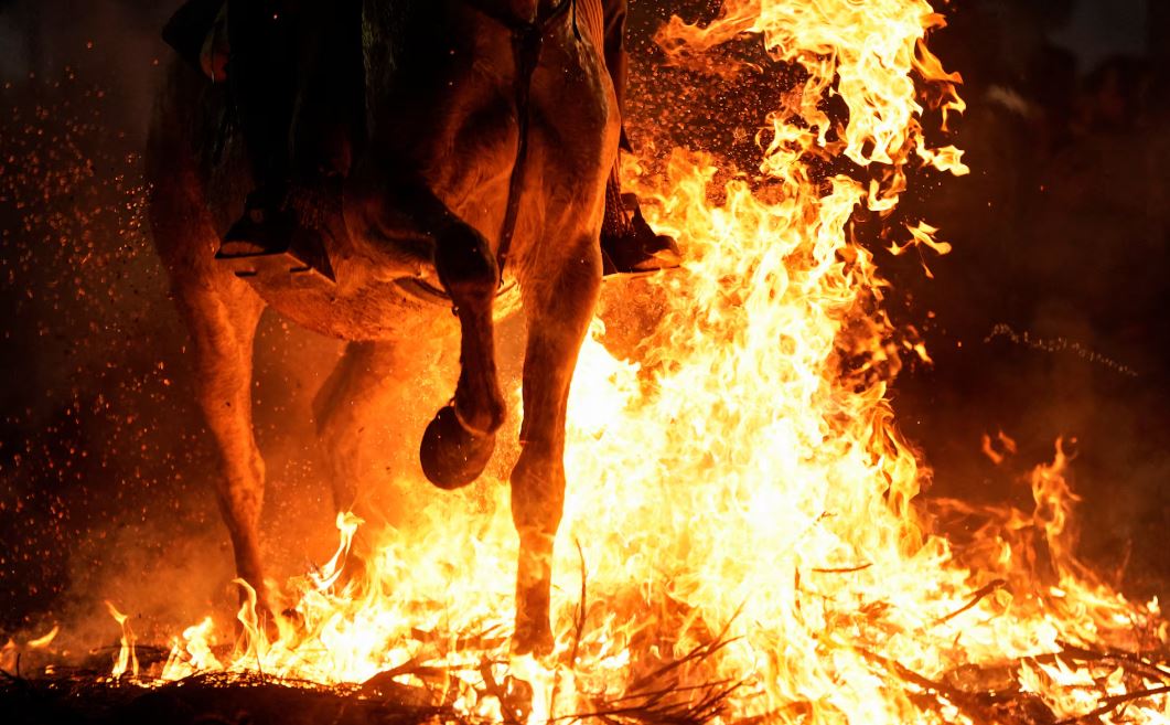 خيول طهرتها النار   يمتطي المحتفلون خيولهم عبر الدخان واللهب لتطهير حيواناتهم خلال احتفال لومينارياس في قرية سان بارتولومي دي بيناريس الإسبانية (11)