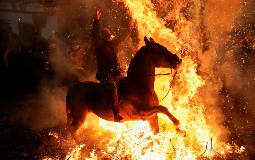 خيول طهرتها النار   يمتطي المحتفلون خيولهم عبر الدخان واللهب لتطهير حيواناتهم خلال احتفال لومينارياس في قرية سان بارتولومي دي بيناريس الإسبانية (10)